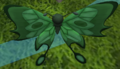 Flutterboo Plant.png