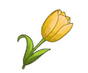 Tulip Flower.png